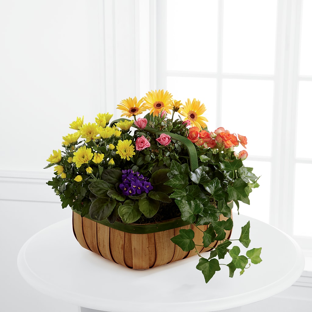 Gentle Blossoms Basket – ELLIJAY'S HOMETOWN FLORIST INC, Ellijay GA