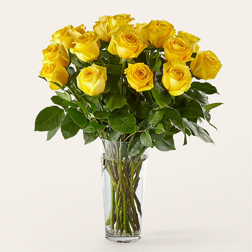 Long Stem Yellow Rose Bouquet – ELLIJAY'S HOMETOWN FLORIST INC, Ellijay GA