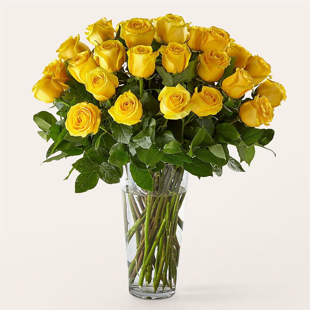 Long Stem Yellow Rose Bouquet – ELLIJAY'S HOMETOWN FLORIST INC, Ellijay GA