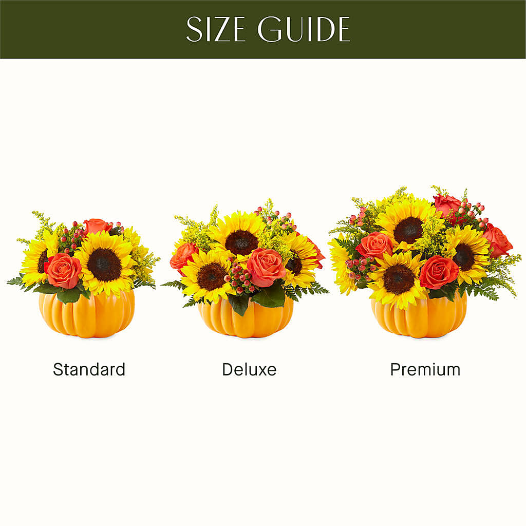 Pick of the Patch Pumpkin Bouquet – ELLIJAY'S HOMETOWN FLORIST INC, Ellijay GA