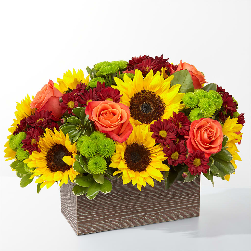 Happy Harvest Garden – ELLIJAY'S HOMETOWN FLORIST INC, Ellijay GA