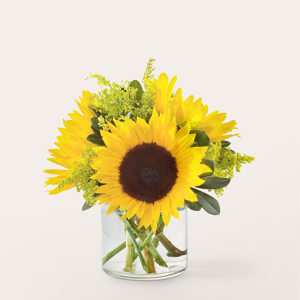 Beaming Sunflower Bouquet – ELLIJAY'S HOMETOWN FLORIST INC, Ellijay GA