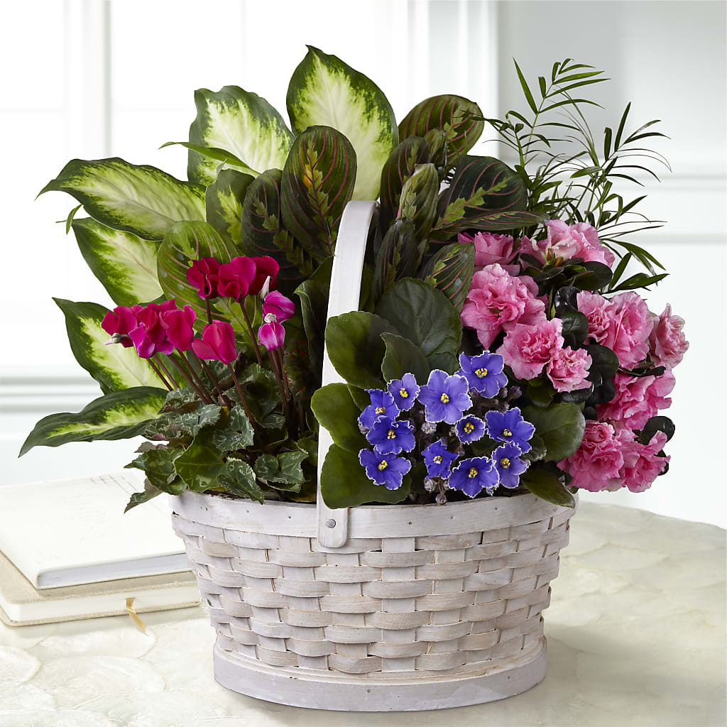 Peaceful Garden Planter – ELLIJAY'S HOMETOWN FLORIST INC, Ellijay GA