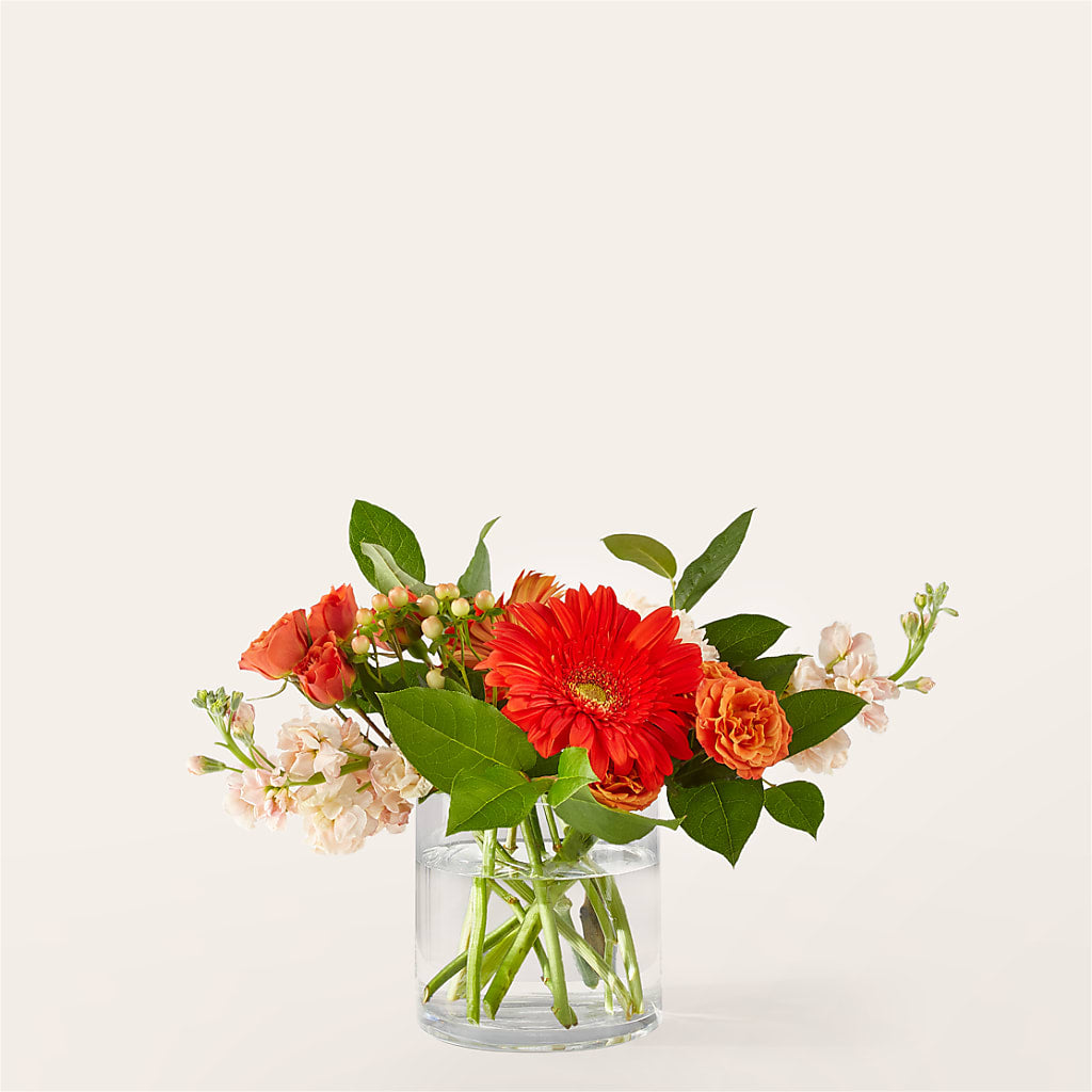 Paloma Please Bouquet – ELLIJAY'S HOMETOWN FLORIST INC, Ellijay GA