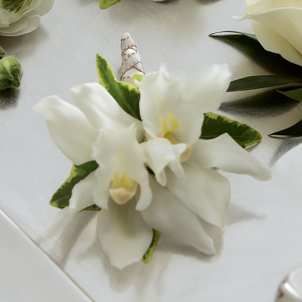 White Mini Cymbidium Boutonniere – ELLIJAY'S HOMETOWN FLORIST INC, Ellijay GA