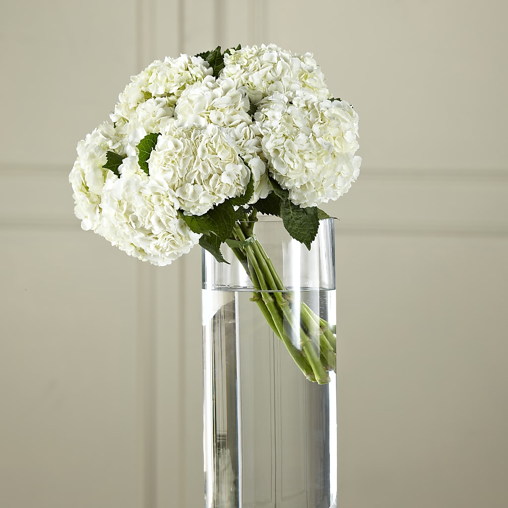 White Hydrangea Hand-Tied Bouquet – ELLIJAY'S HOMETOWN FLORIST INC, Ellijay GA