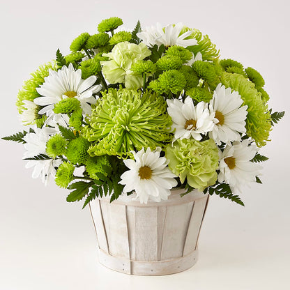 Lucky Charm Basket (Standard) – ELLIJAY'S HOMETOWN FLORIST INC, Ellijay GA