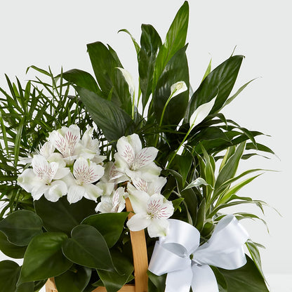 Peace & Serenity Dishgarden – ELLIJAY'S HOMETOWN FLORIST INC, Ellijay GA