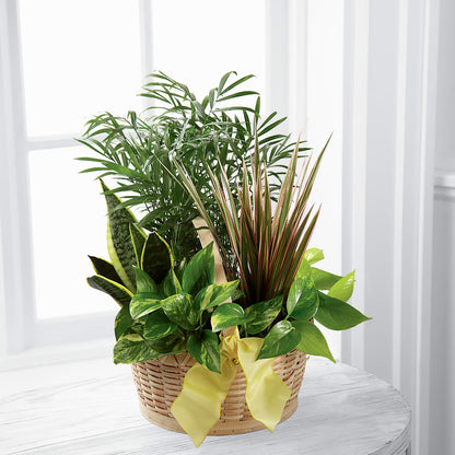 French Garden – ELLIJAY'S HOMETOWN FLORIST INC, Ellijay GA