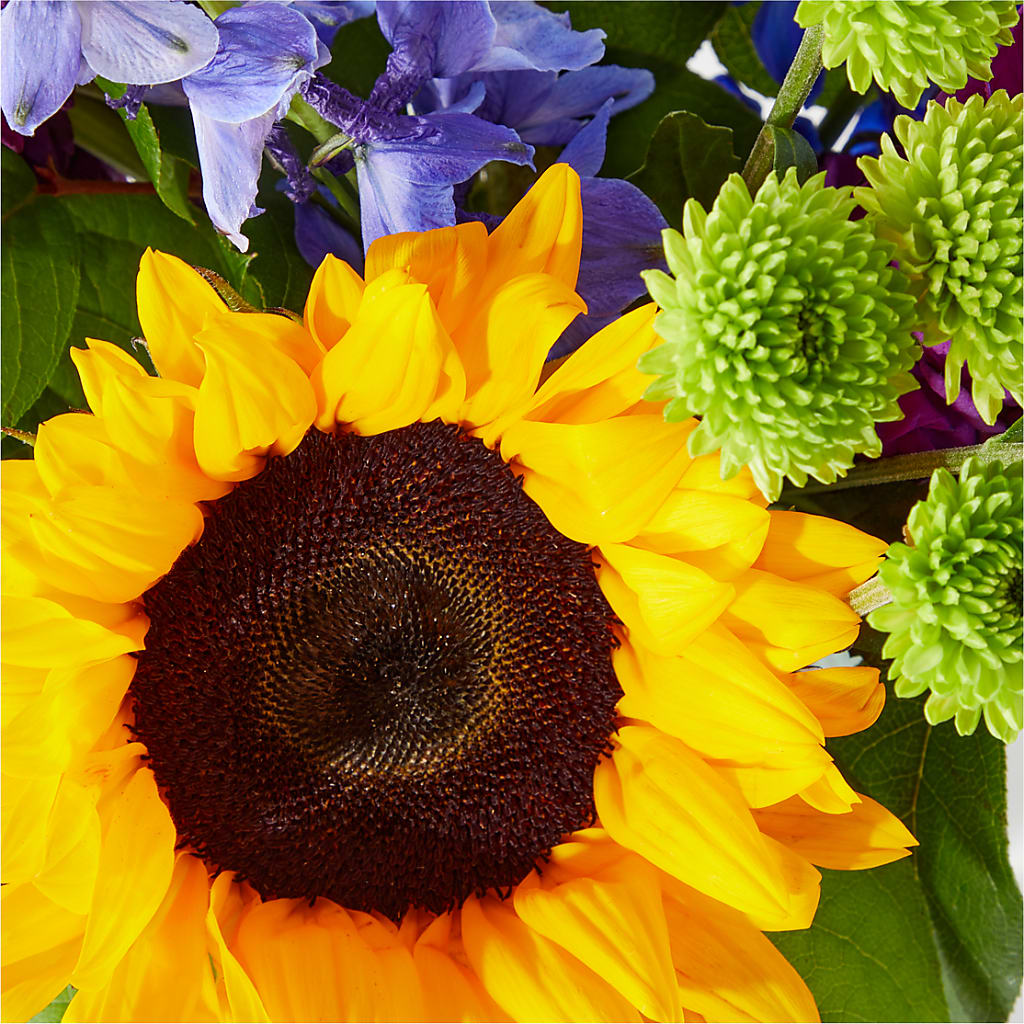 Catching Rays Bouquet – ELLIJAY'S HOMETOWN FLORIST INC, Ellijay GA