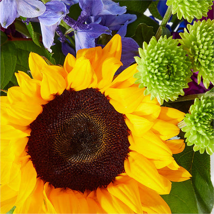 Catching Rays Bouquet – ELLIJAY'S HOMETOWN FLORIST INC, Ellijay GA