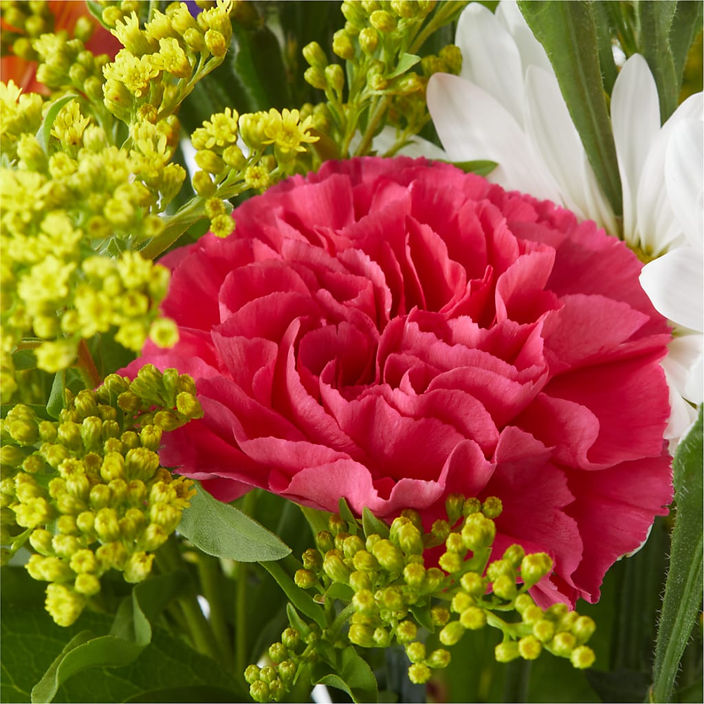 Oopsie Daisy Bouquet – ELLIJAY'S HOMETOWN FLORIST INC, Ellijay GA
