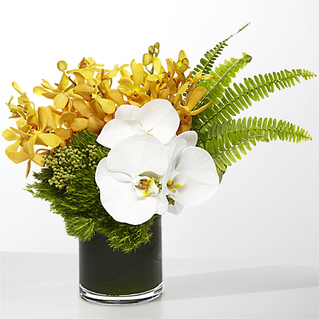The Tropics – ELLIJAY'S HOMETOWN FLORIST INC, Ellijay GA