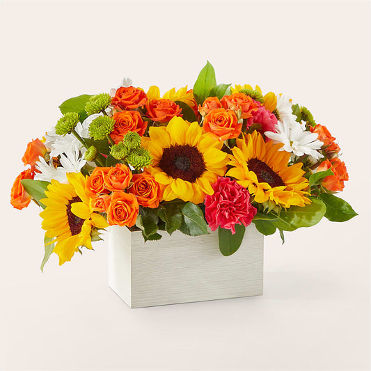 Sun-drenched Blooms Box Bouquet – ELLIJAY'S HOMETOWN FLORIST INC, Ellijay GA