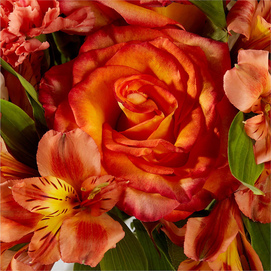 Apricot Glow Bouquet – ELLIJAY'S HOMETOWN FLORIST INC, Ellijay GA