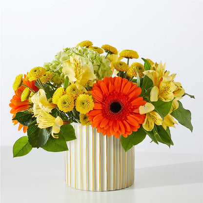 Autumn Sunshine Bouquet with Ivory Vase – ELLIJAY'S HOMETOWN FLORIST INC, Ellijay GA