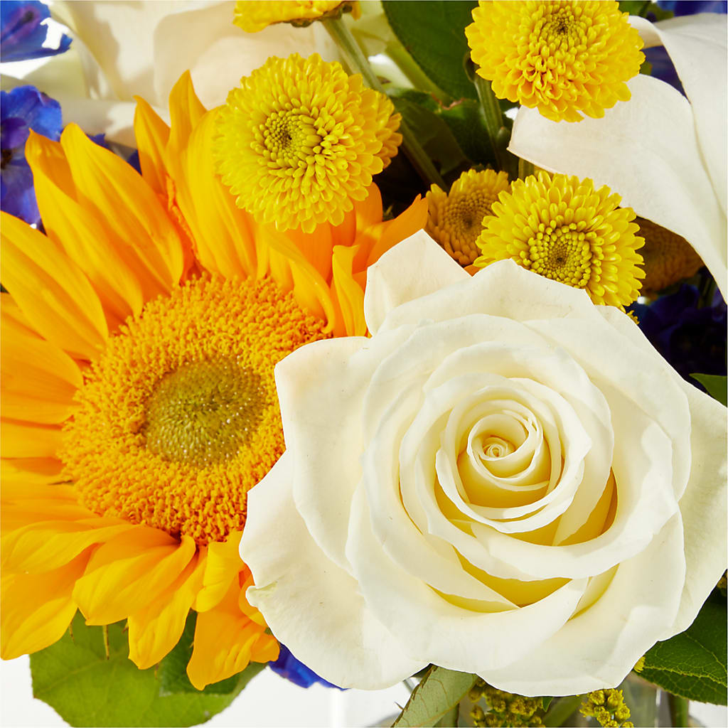 Stargazing Bouquet – ELLIJAY'S HOMETOWN FLORIST INC, Ellijay GA