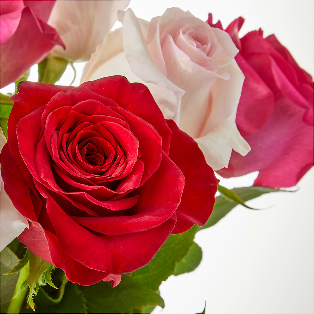 Charming Rose Bouquet – ELLIJAY'S HOMETOWN FLORIST INC, Ellijay GA