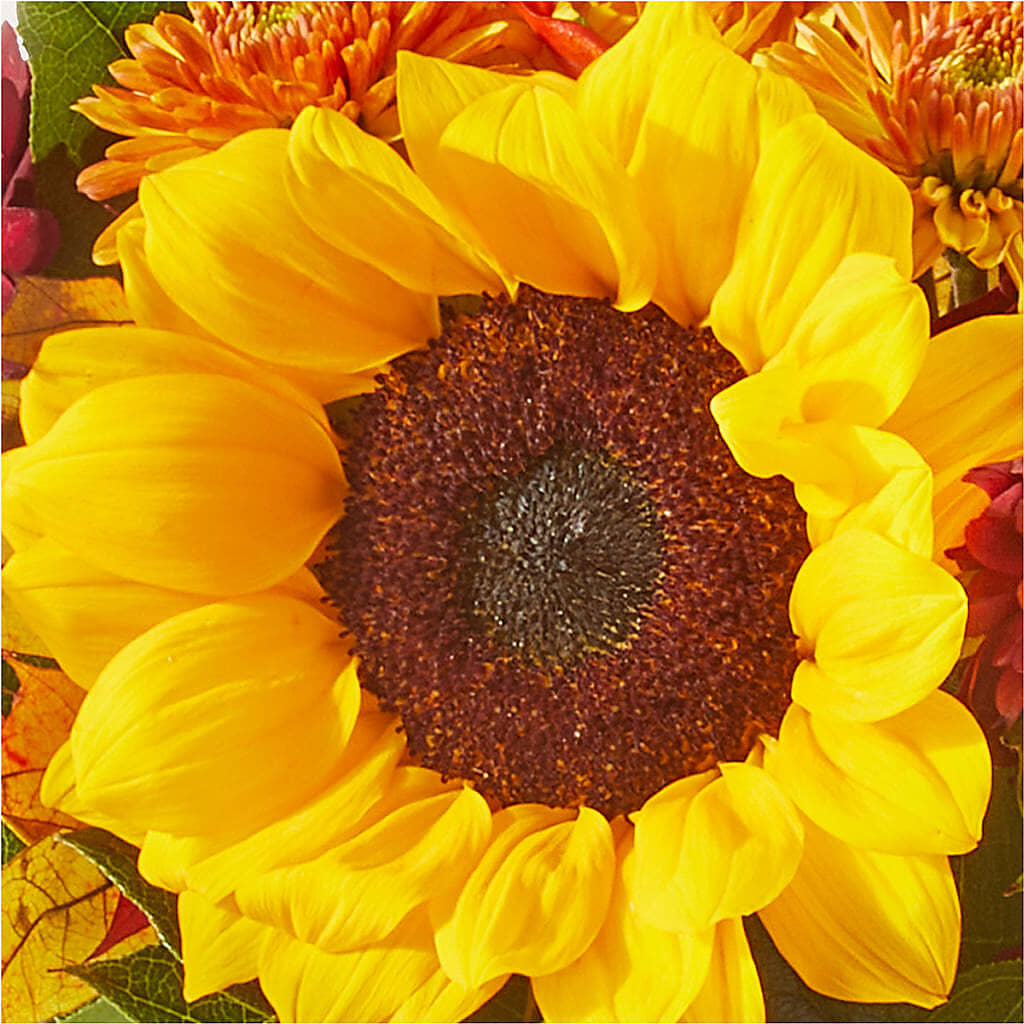 Sunny Side Bouquet – ELLIJAY'S HOMETOWN FLORIST INC, Ellijay GA