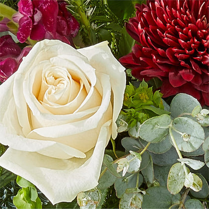 Cranberry Fizz Bouquet – ELLIJAY'S HOMETOWN FLORIST INC, Ellijay GA