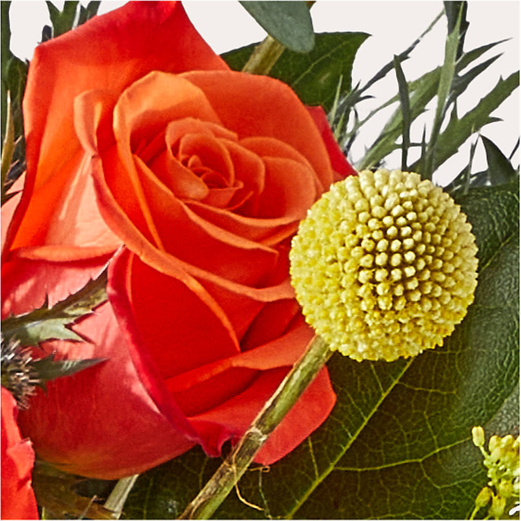 Disco Bouquet – ELLIJAY'S HOMETOWN FLORIST INC, Ellijay GA