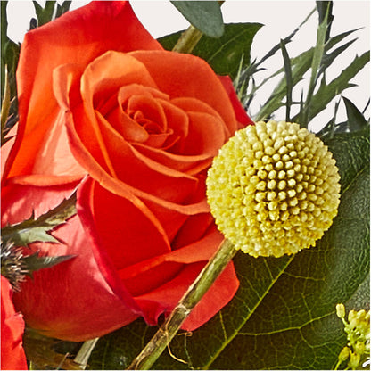 Disco Bouquet – ELLIJAY'S HOMETOWN FLORIST INC, Ellijay GA