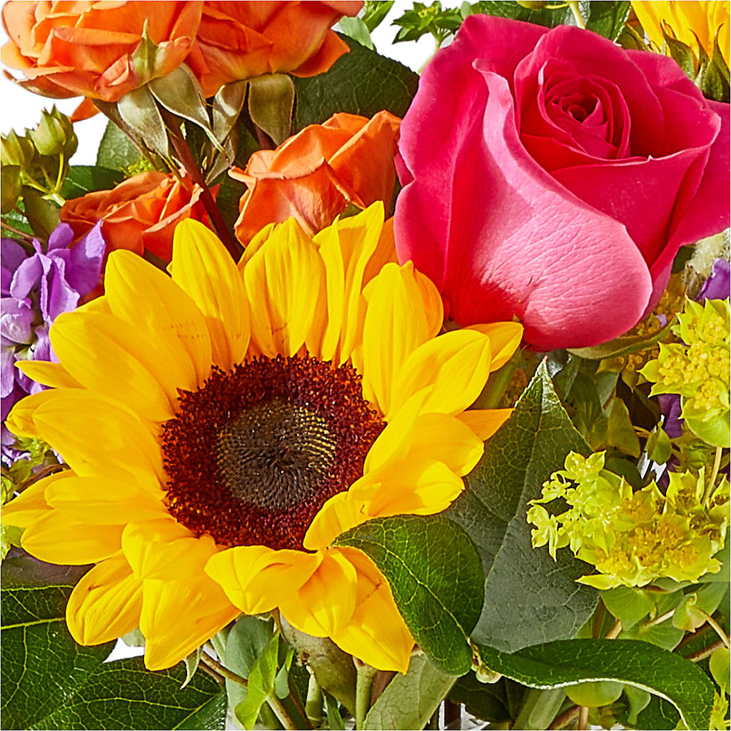 Vibrant Greetings Bouquet – ELLIJAY'S HOMETOWN FLORIST INC, Ellijay GA