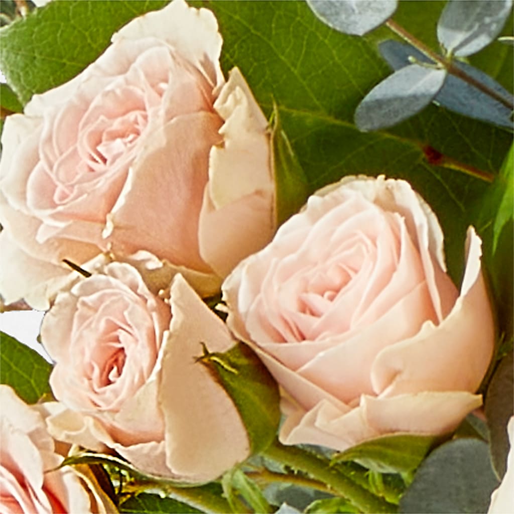 Inspired Bouquet – ELLIJAY'S HOMETOWN FLORIST INC, Ellijay GA