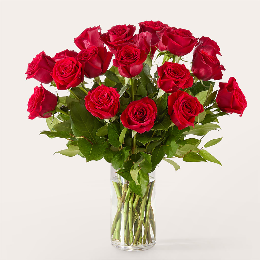 The One Red Rose Bouquet – ELLIJAY'S HOMETOWN FLORIST INC, Ellijay GA