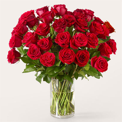The One Red Rose Bouquet – ELLIJAY'S HOMETOWN FLORIST INC, Ellijay GA