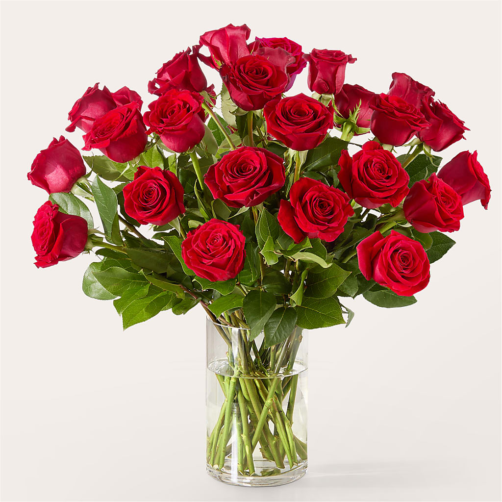 The One Red Rose Bouquet – ELLIJAY'S HOMETOWN FLORIST INC, Ellijay GA
