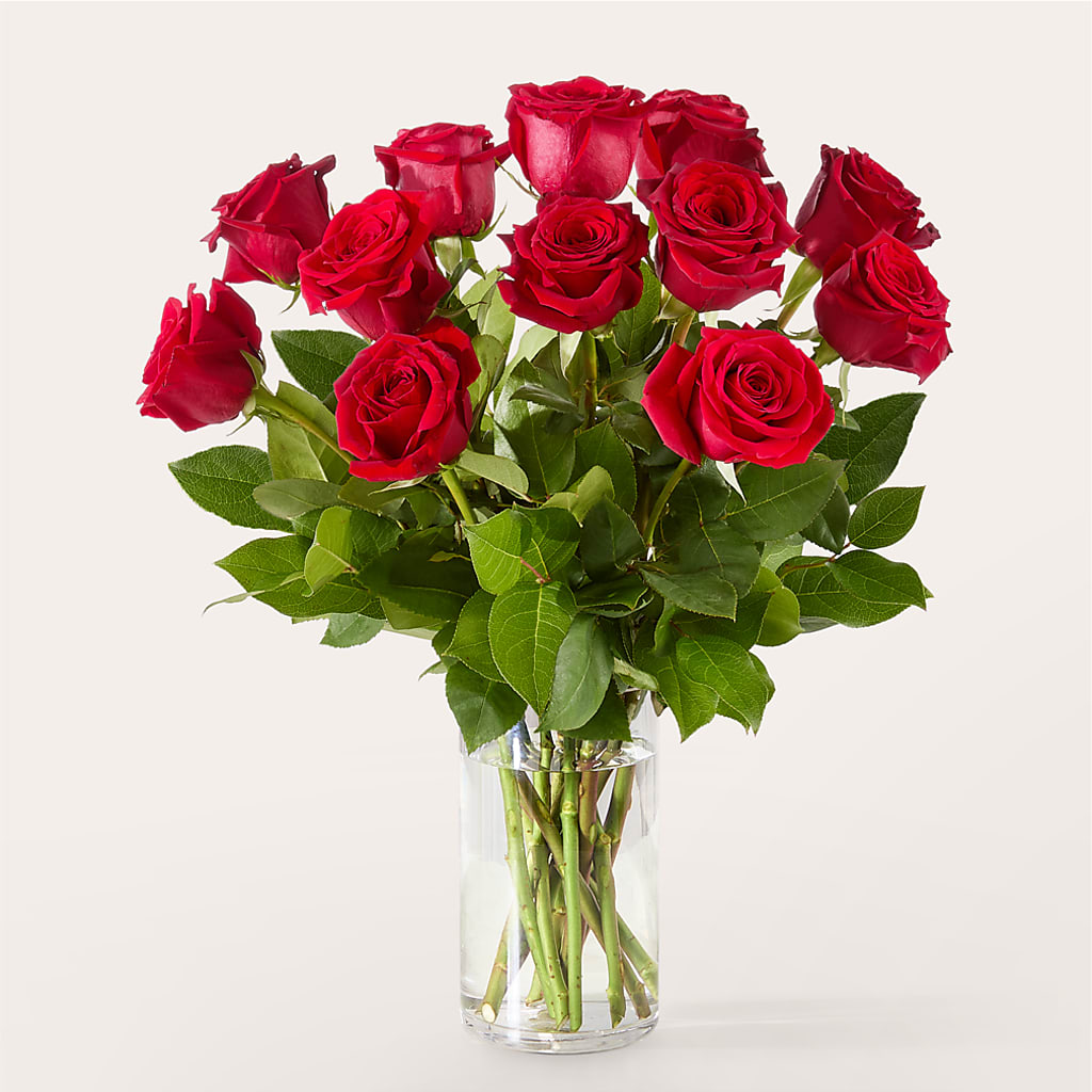 The One Red Rose Bouquet – ELLIJAY'S HOMETOWN FLORIST INC, Ellijay GA