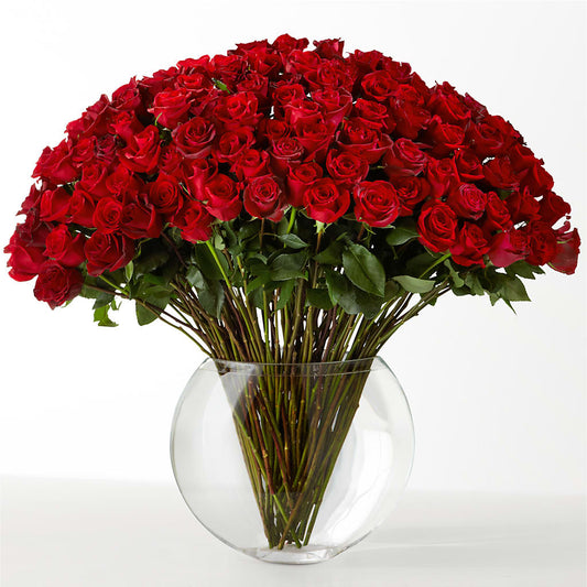 The Idealist – ELLIJAY'S HOMETOWN FLORIST INC, Ellijay GA