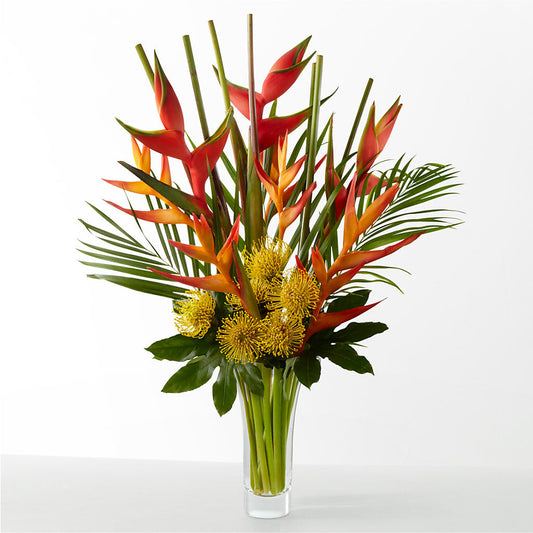 The Drama – ELLIJAY'S HOMETOWN FLORIST INC, Ellijay GA
