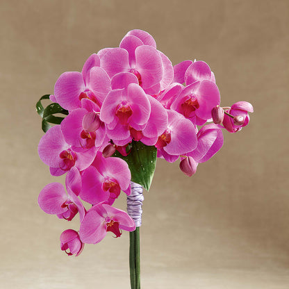 Glorious Bouquet – ELLIJAY'S HOMETOWN FLORIST INC, Ellijay GA