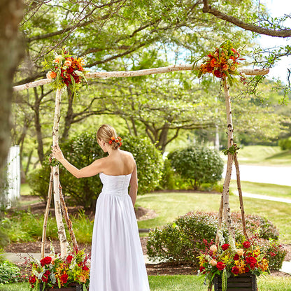 Arbor of Love Archway – ELLIJAY'S HOMETOWN FLORIST INC, Ellijay GA