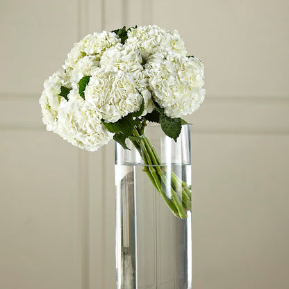 White Hydrangea Hand-Tied Bouquet – ELLIJAY'S HOMETOWN FLORIST INC, Ellijay GA